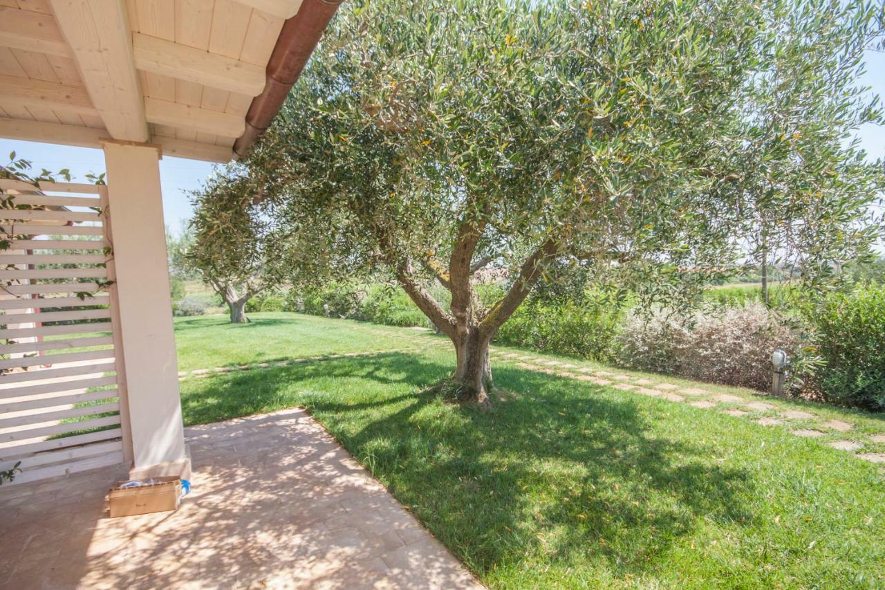 Agriturismo Il Mirto Pescia Romana Rom bilde
